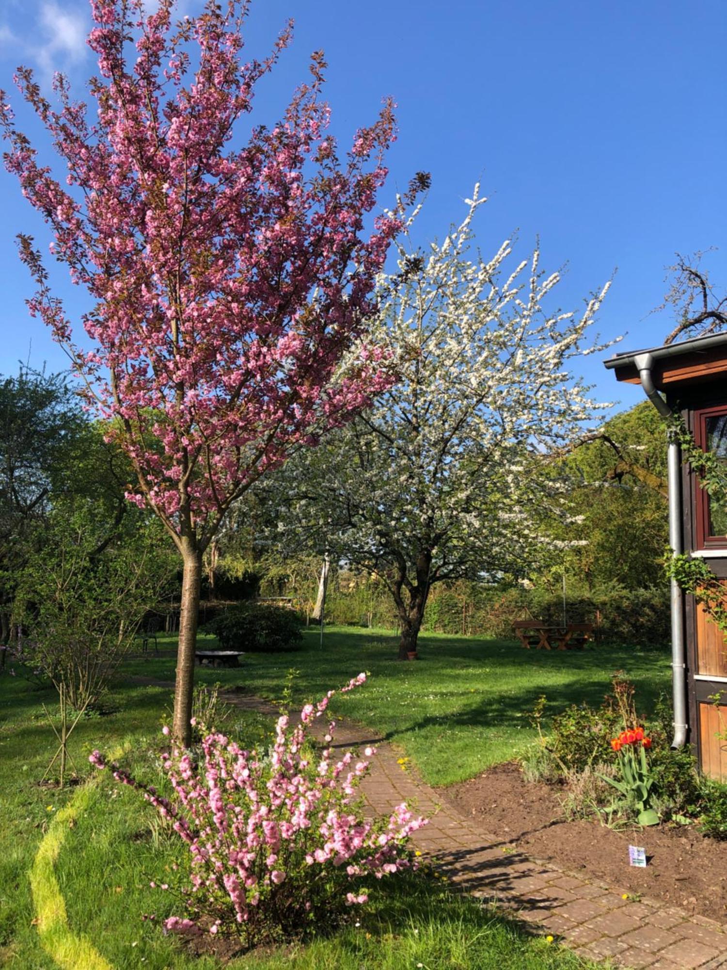 Ferienwohnung Kastanienblick Oder Parkblick, Oder Unser Radlerzimmer! Ziethen  Exterior photo